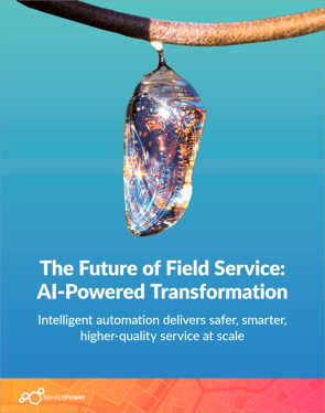 The Future of FS Cover Image with border