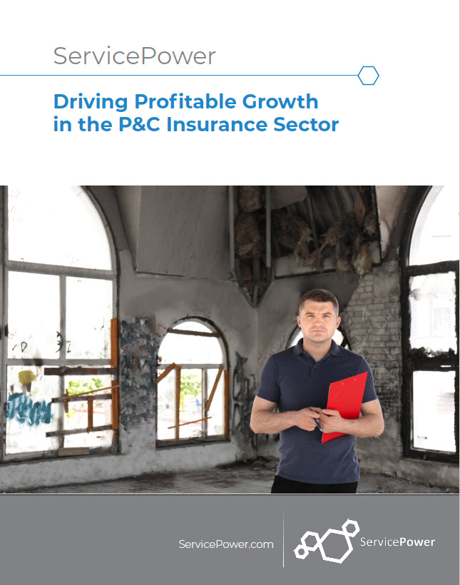 Driving Profitable Growth in the Insurance Sector